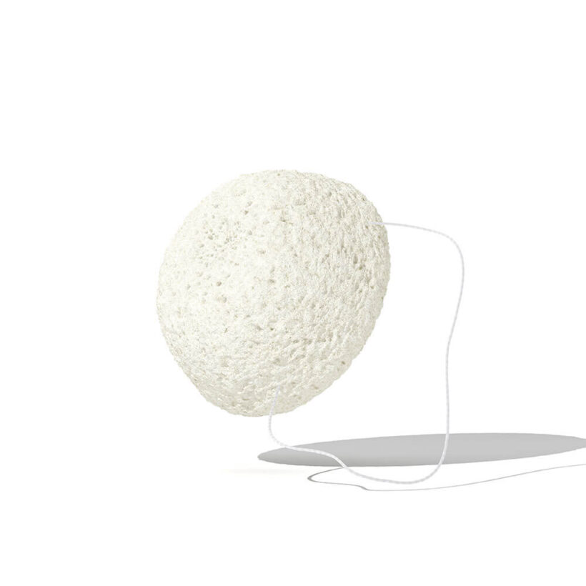Esponja Konjac Hydrophil - Image 2